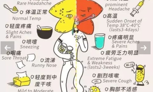 转奶过程中感冒了还能转奶吗-转奶期间感冒了怎么办网—知名的转奶期间感冒了怎么办网站,分享宝宝转奶期间感冒了拉肚子知识